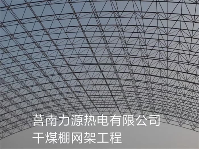 洮南力源热电有限公司干煤棚网架工程